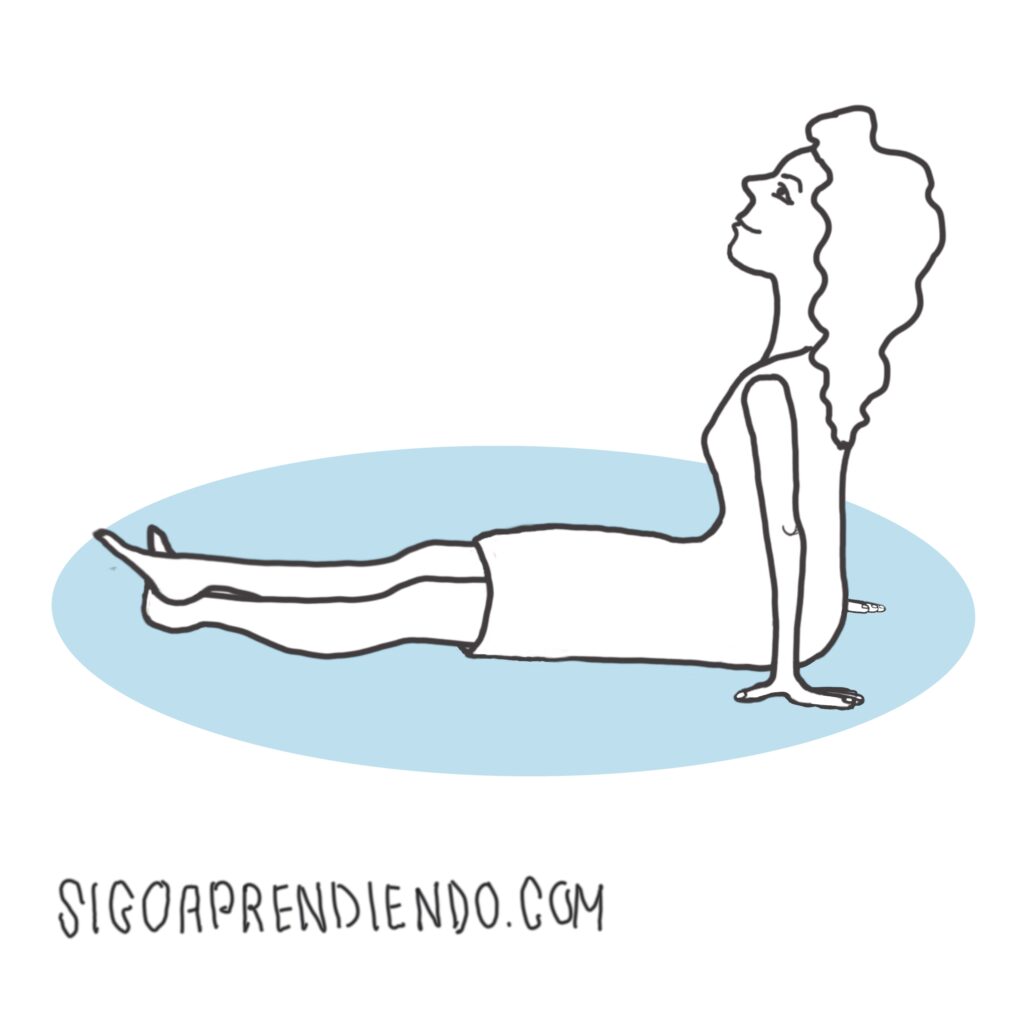 rreposando 081125 (20251109022252)